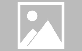馆陶龙江乐从网站建设（乐从和龙江）